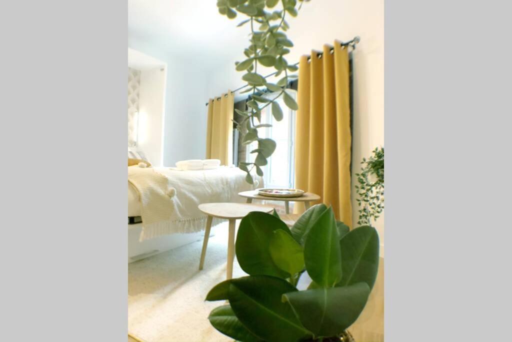 Le Floral - Hypercentre Capitole # Parking privé # Queen size Tolosa Esterno foto